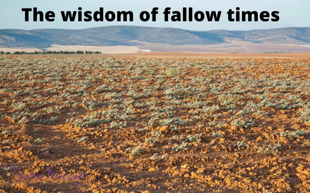 The wisdom of fallow times