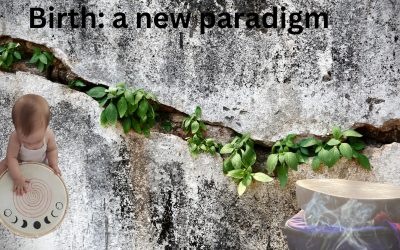 Birth: changing the paradigm