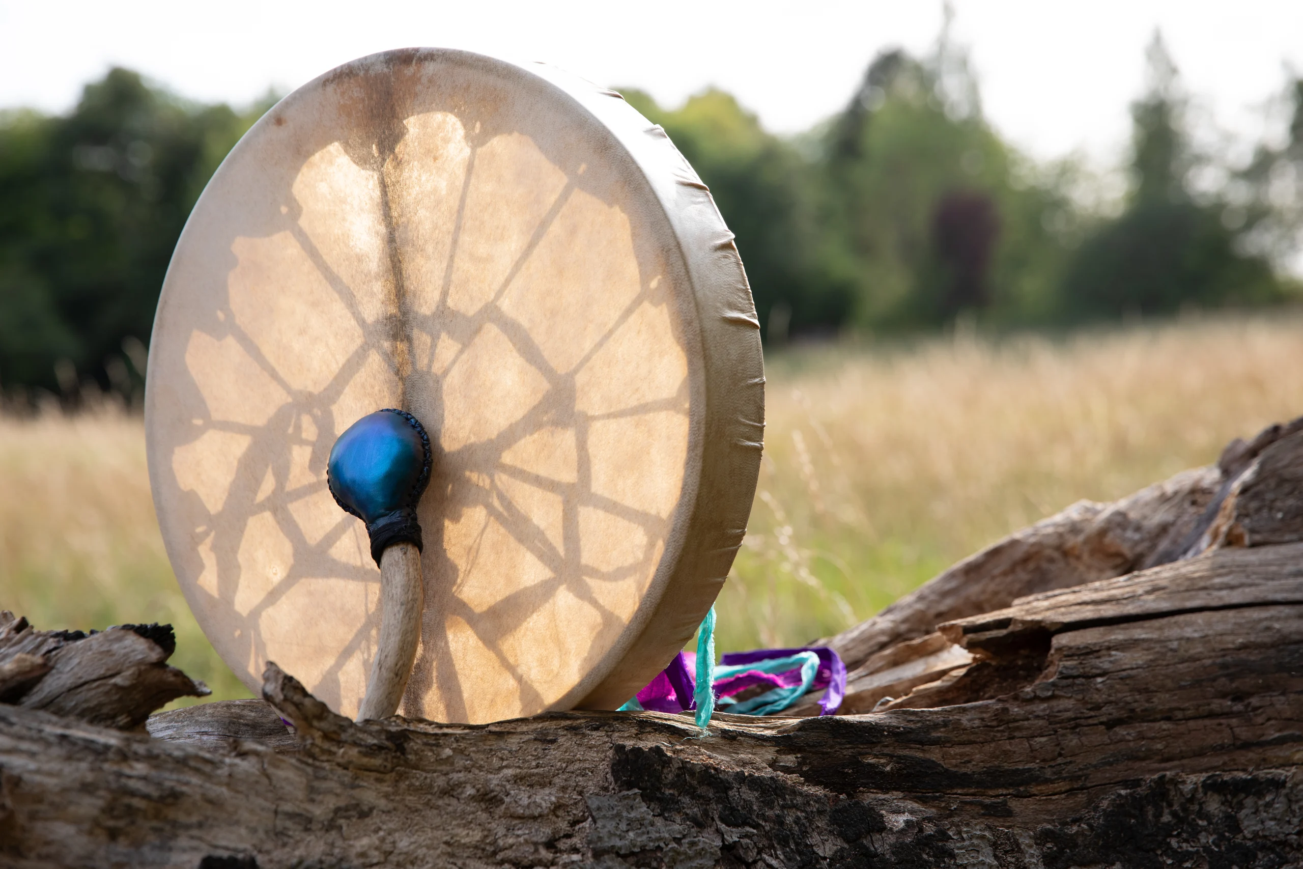A drum on a log in nature